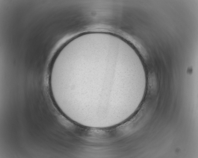 X0000116351462201001131056