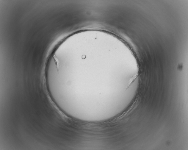X0000116351464201001131056