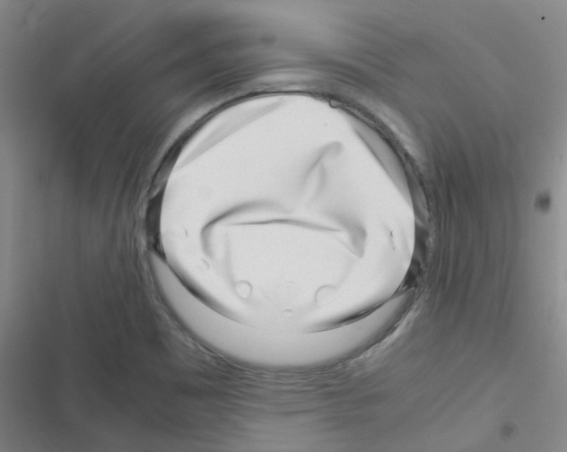 X0000116351465201001131056