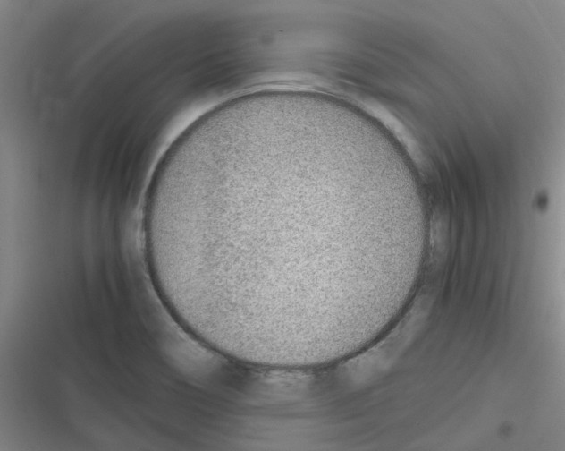 X0000116351466201001131056