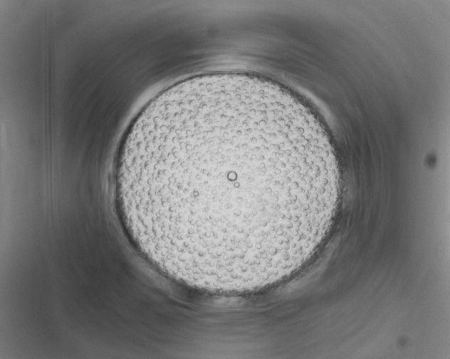 X0000116351467201001131056