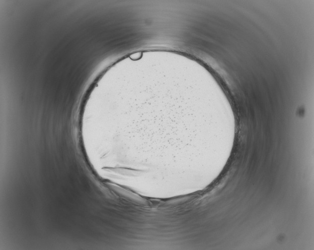 X0000116351469201001131056