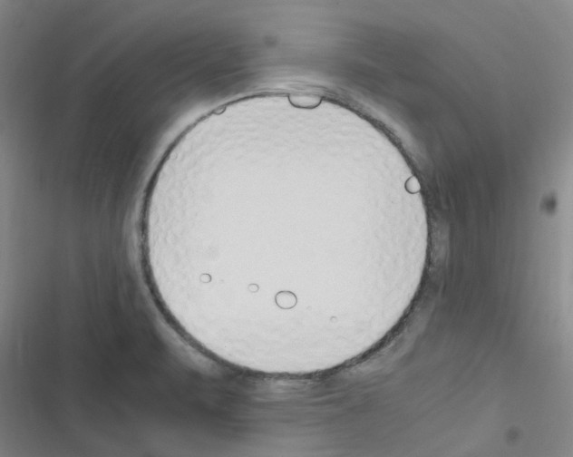 X0000116351471201001131056