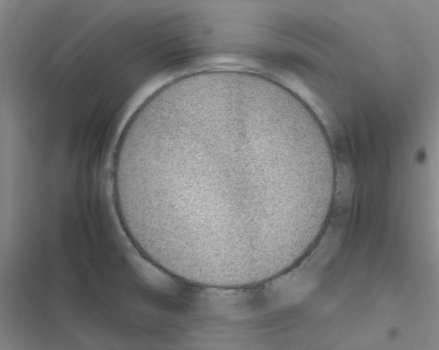 X0000116351474201001131056