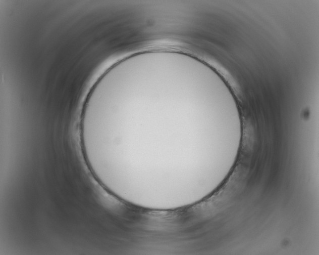 X0000116351478201001131056