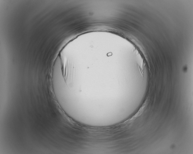 X0000116351481201001131056