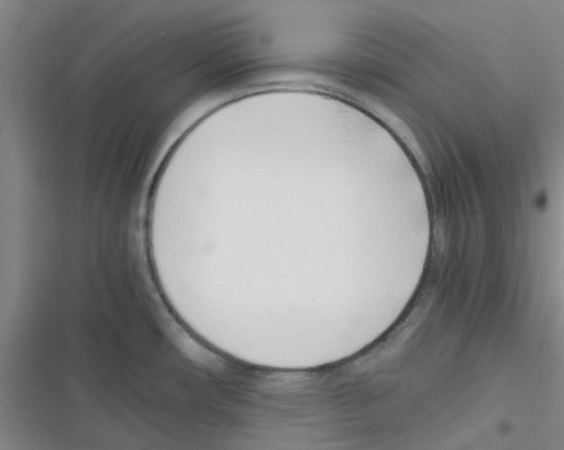 X0000116351482201001131056