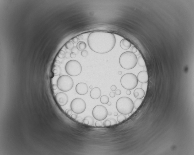X0000116351483201001131056