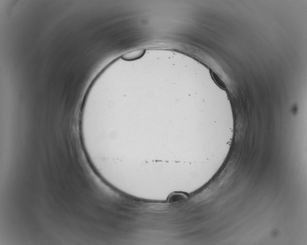 X0000116351484201001131056