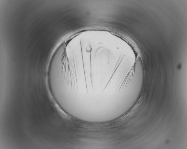X0000116351485201001131056