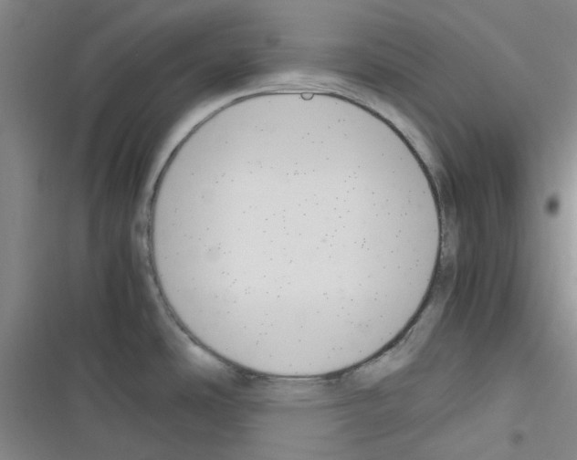 X0000116351486201001131056