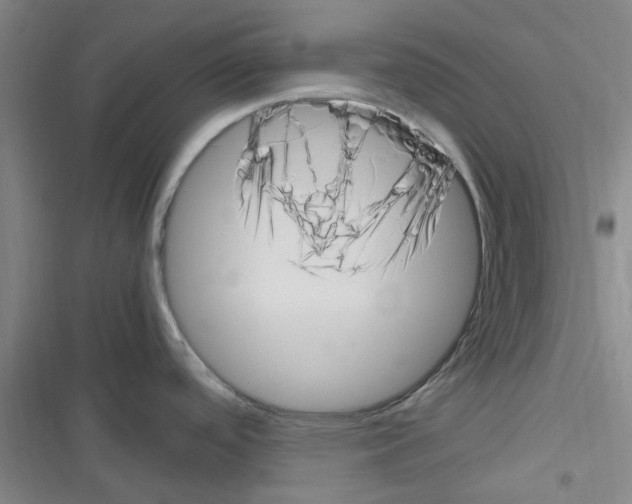 X0000116351488201001131056