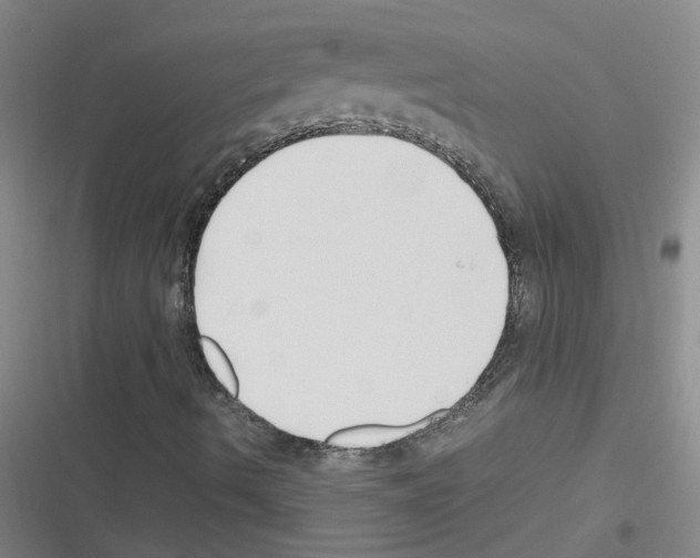 X0000116351490201001131055