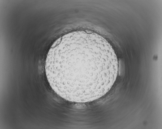 X0000116351491201001131055