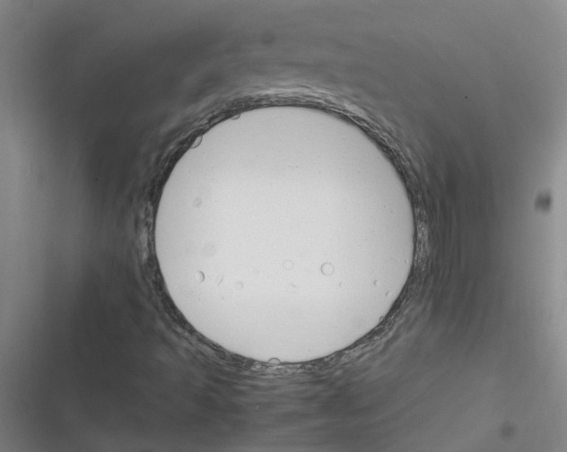 X0000116351493201001131055