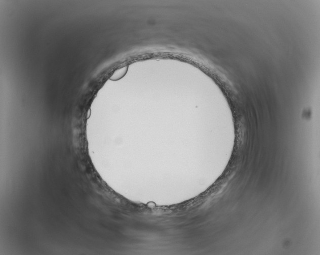 X0000116351494201001131055