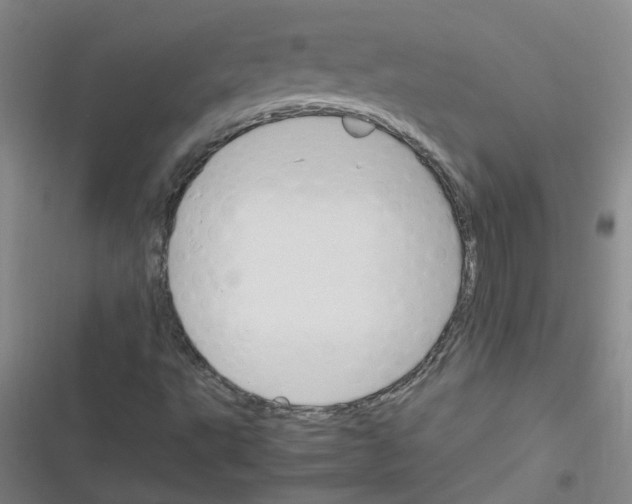 X0000116351495201001131055