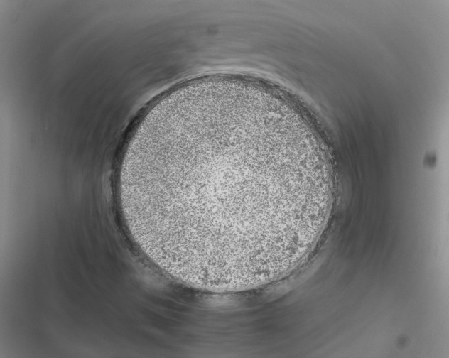 X0000116351497201001131055