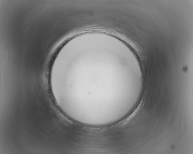 X0000116351502201001131055