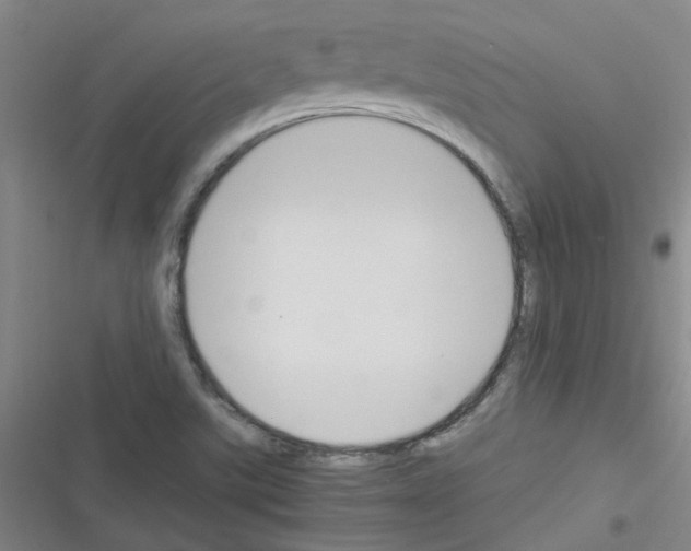 X0000116351507201001131055