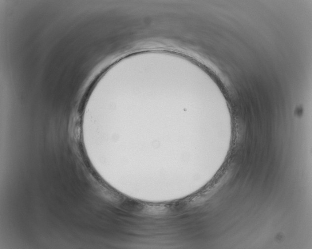 X0000116351509201001131055