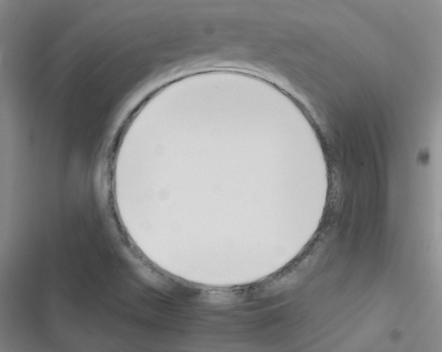 X0000116351511201001131055