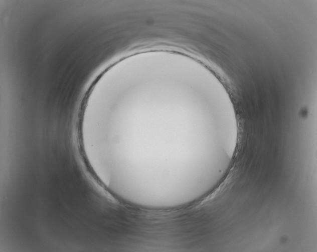 X0000116351518201001131055