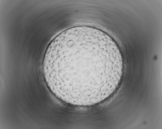 X0000116351521201001131055