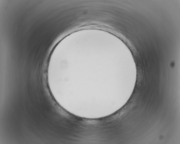 X0000116351522201001131055