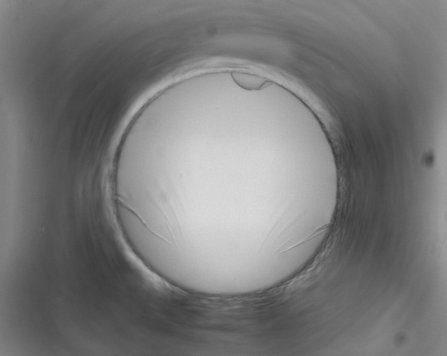 X0000116351527201001131055