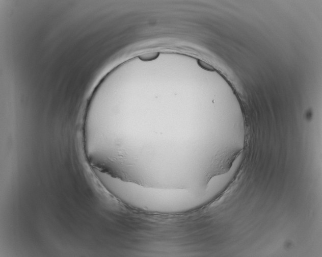 X0000116351530201001131055