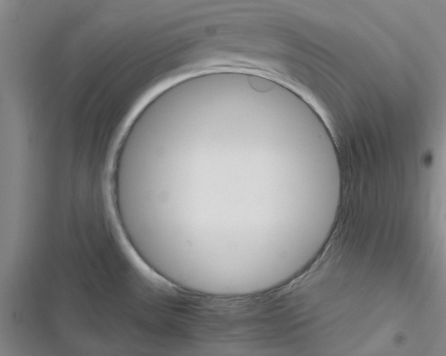 X0000116351531201001131055