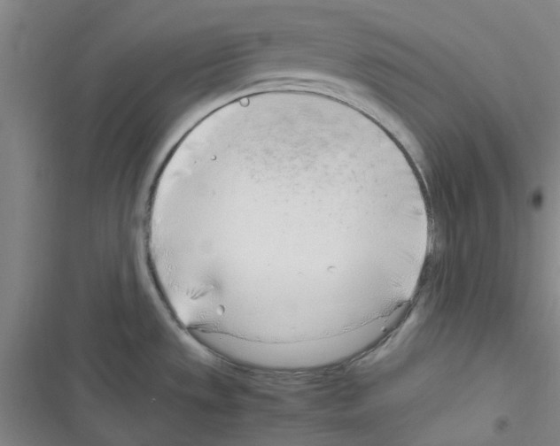 X0000116351533201001131056
