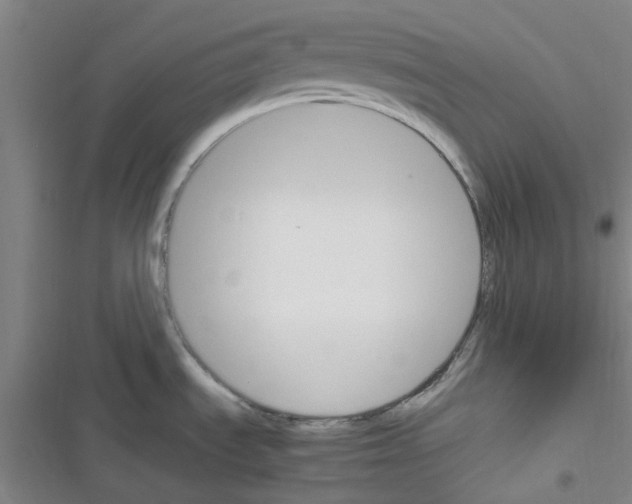 X0000116351535201001131056