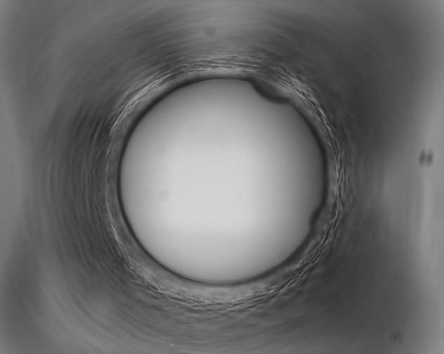 X0000116370001200912021020