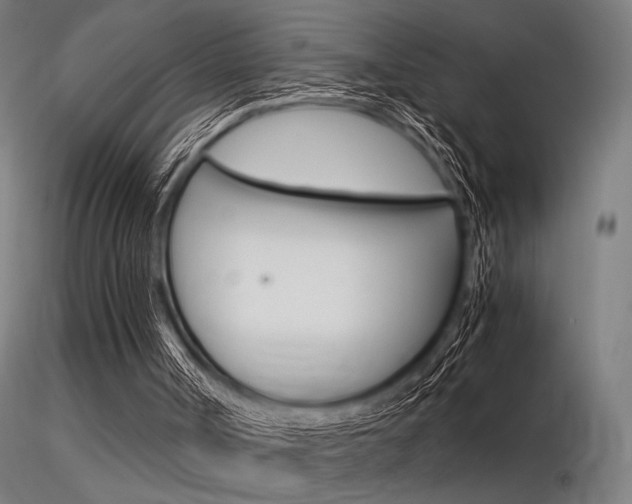 X0000116370002200912021020