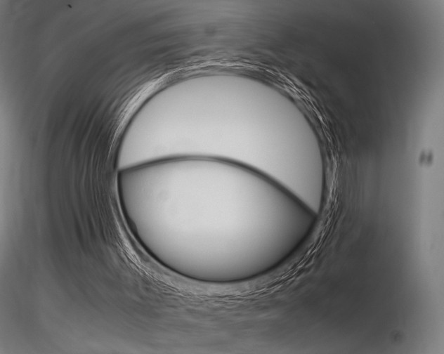 X0000116370003200912021020