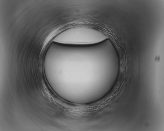X0000116370004200912021020