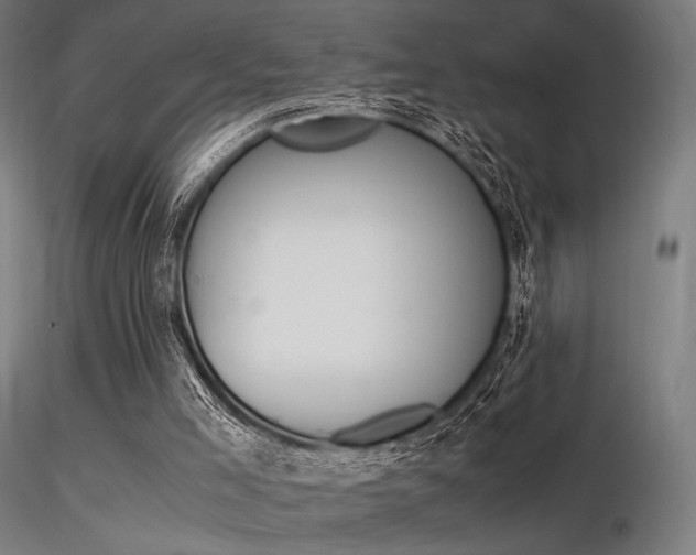 X0000116370005200912021020