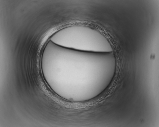 X0000116370006200912021020