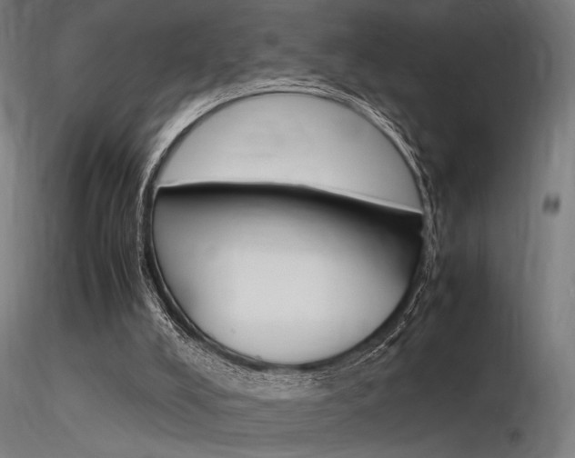 X0000116370008200912021020