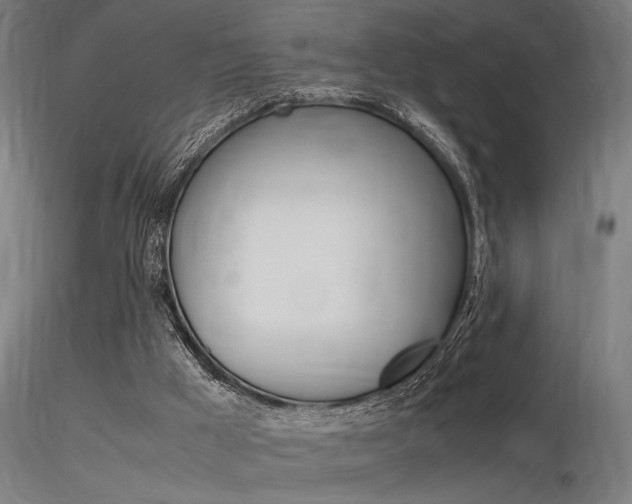 X0000116370009200912021020