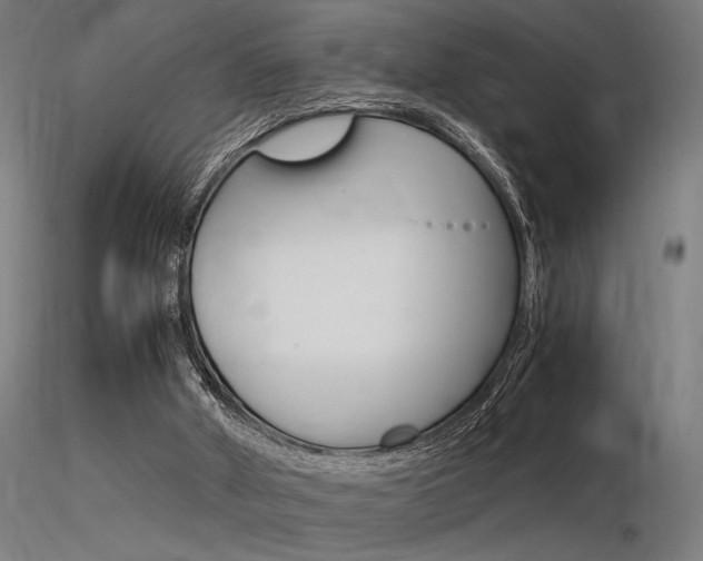 X0000116370010200912021020