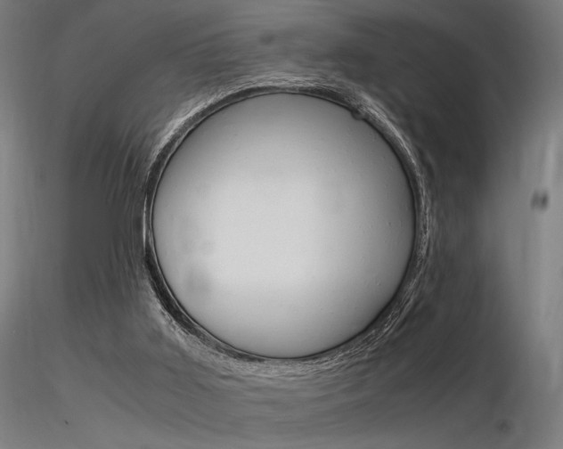 X0000116370011200912021020