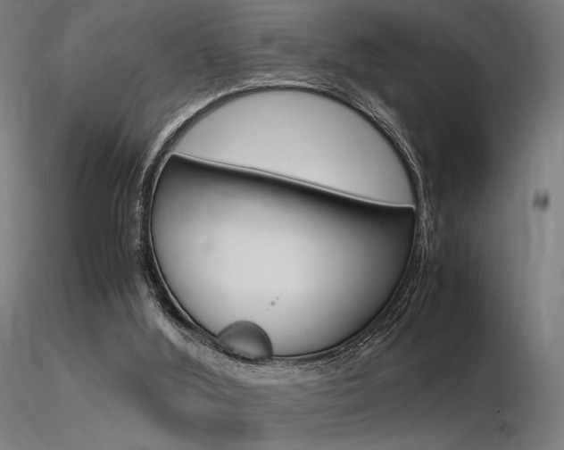 X0000116370012200912021020