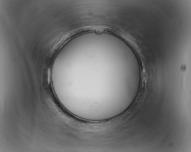 X0000116370013200912021020