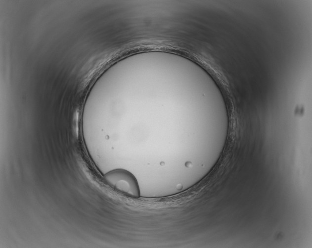 X0000116370014200912021020