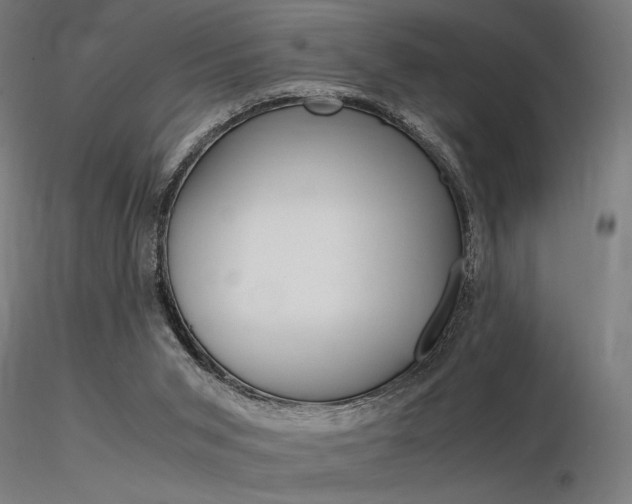 X0000116370015200912021020