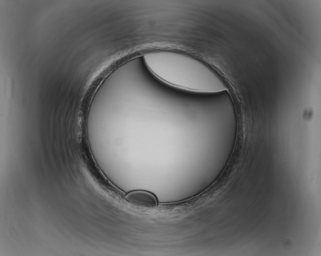 X0000116370016200912021020