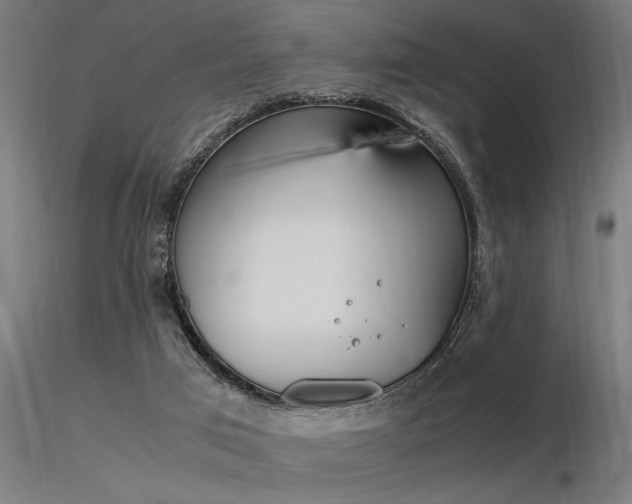 X0000116370017200912021020